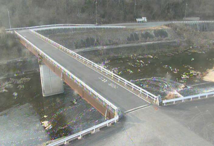 最新監視カメラ画像