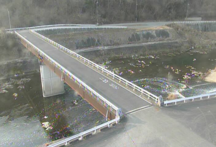 最新監視カメラ画像