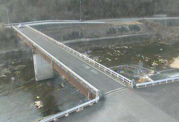 最新監視カメラ画像