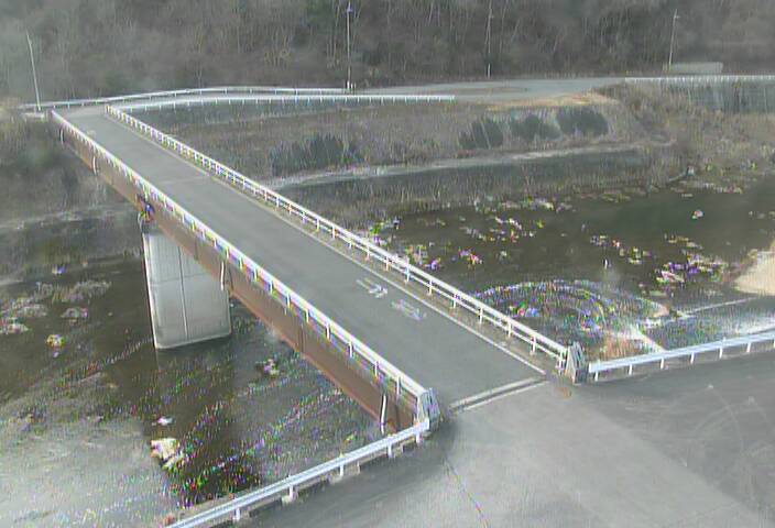 最新監視カメラ画像