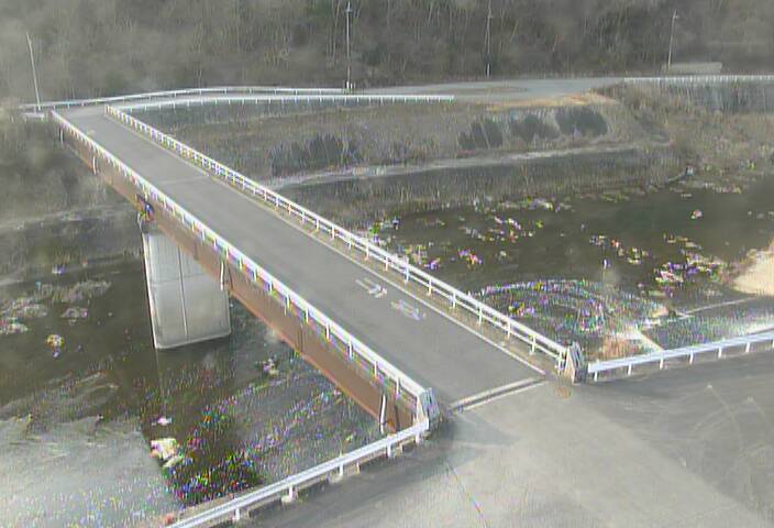 最新監視カメラ画像