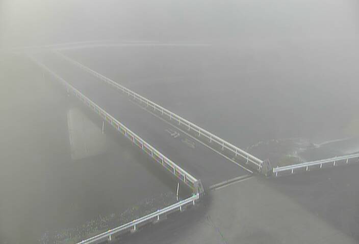 最新監視カメラ画像