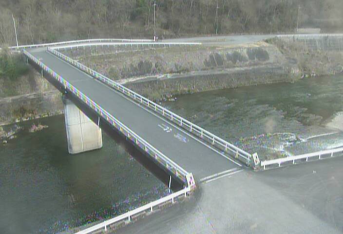 最新監視カメラ画像