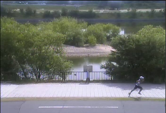 最新監視カメラ画像