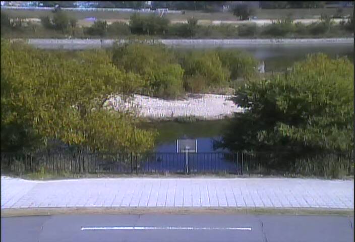 最新監視カメラ画像