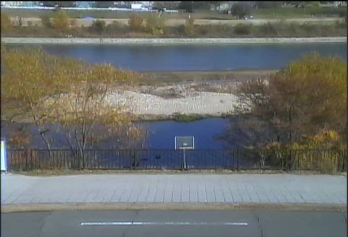 最新監視カメラ画像