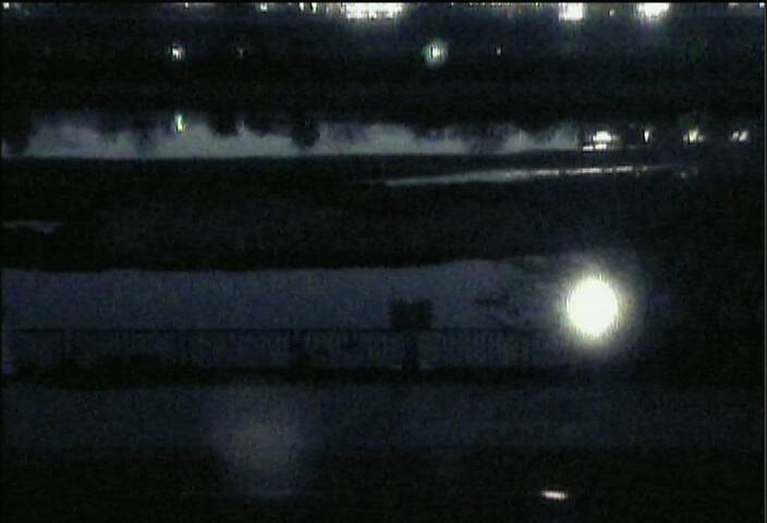 最新監視カメラ画像