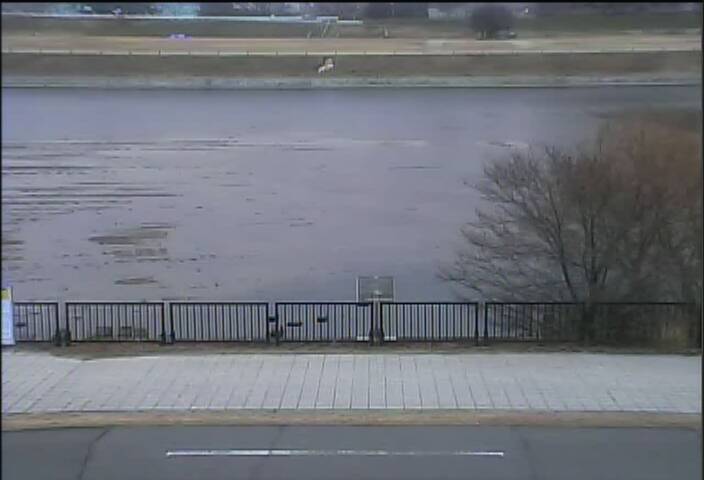 最新監視カメラ画像