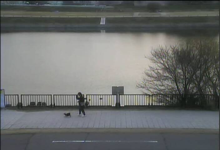 最新監視カメラ画像