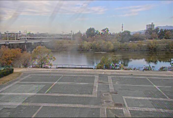 最新監視カメラ画像