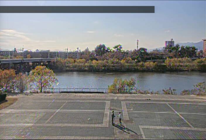 最新監視カメラ画像