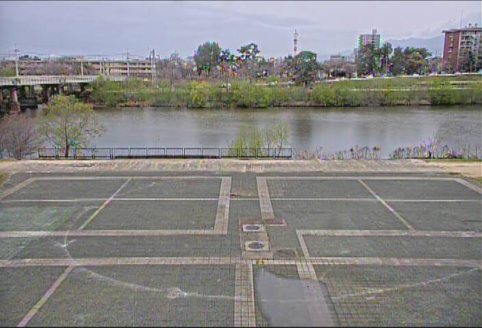 最新監視カメラ画像