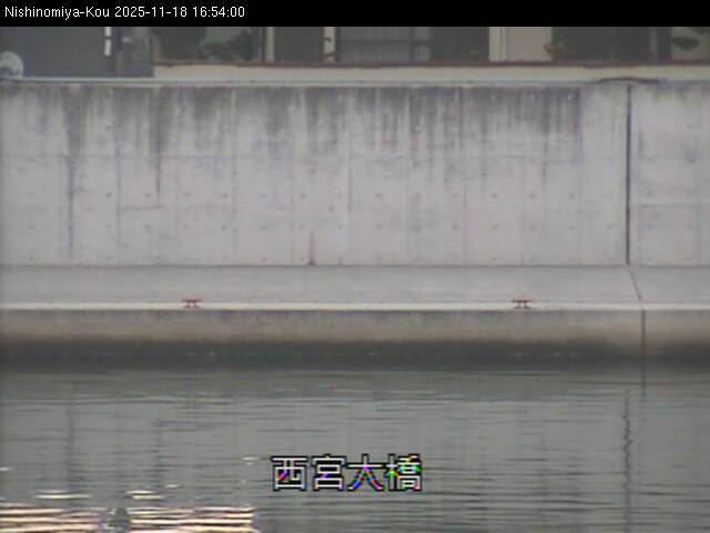 最新監視カメラ画像