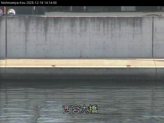 最新監視カメラ画像