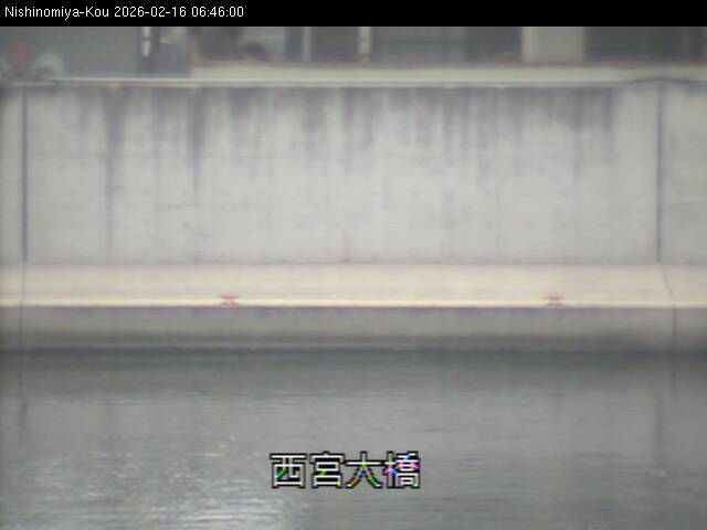 最新監視カメラ画像