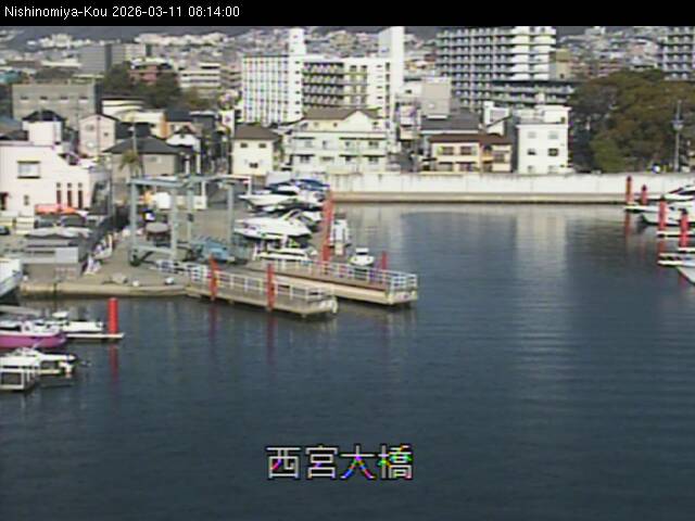 最新監視カメラ画像