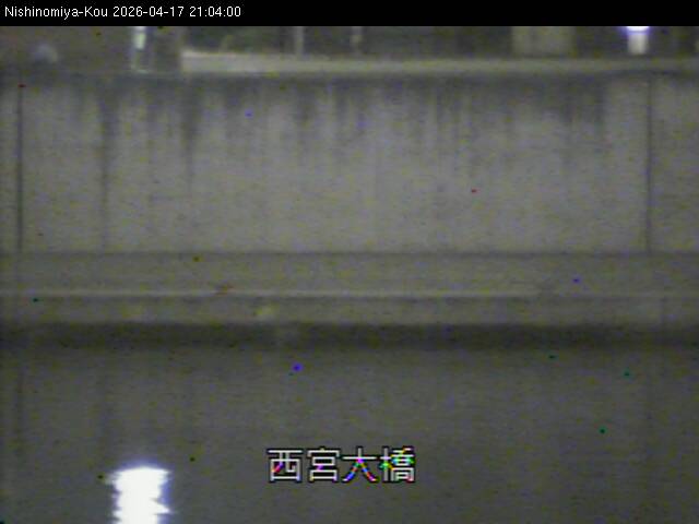 最新監視カメラ画像