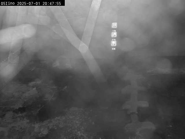 最新監視カメラ画像