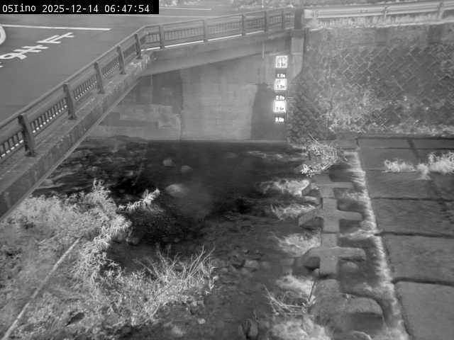 最新監視カメラ画像