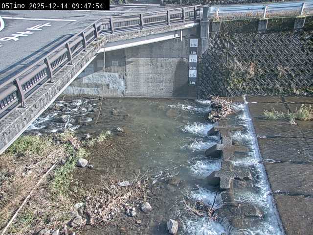 最新監視カメラ画像