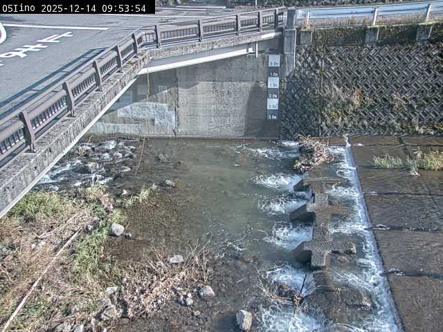 最新監視カメラ画像