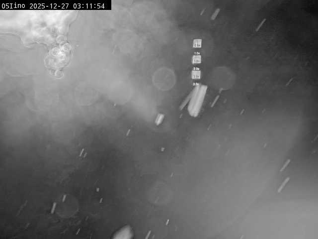 最新監視カメラ画像