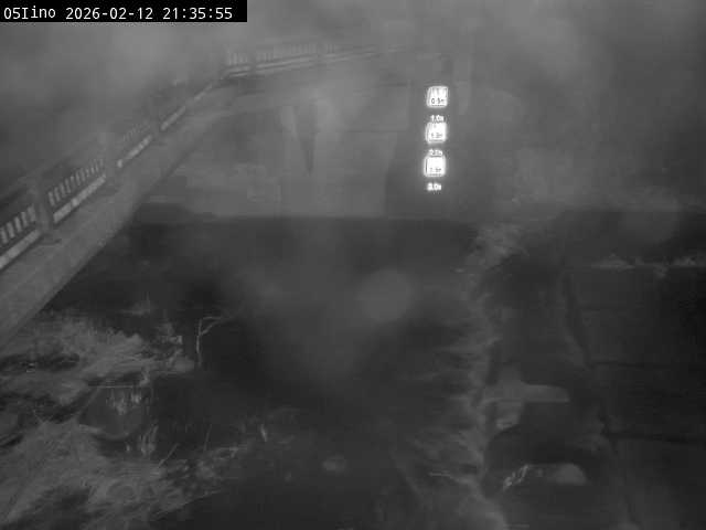 最新監視カメラ画像