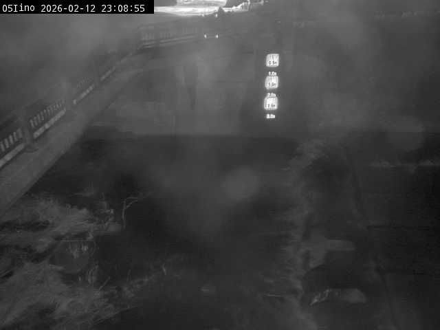 最新監視カメラ画像