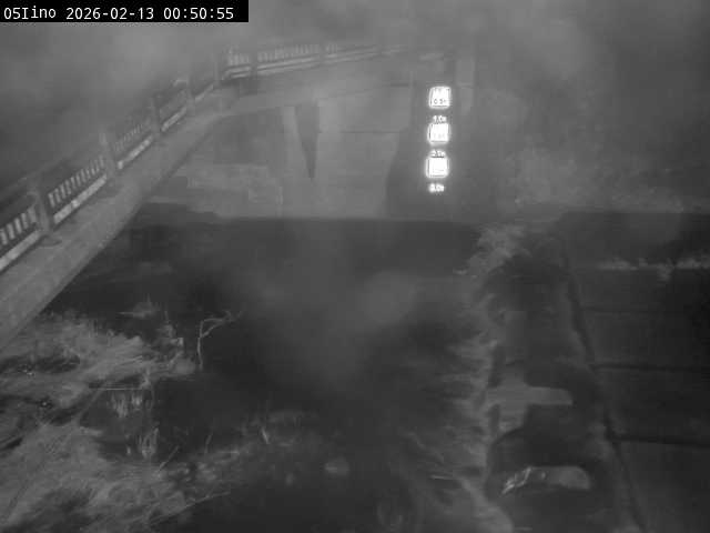 最新監視カメラ画像