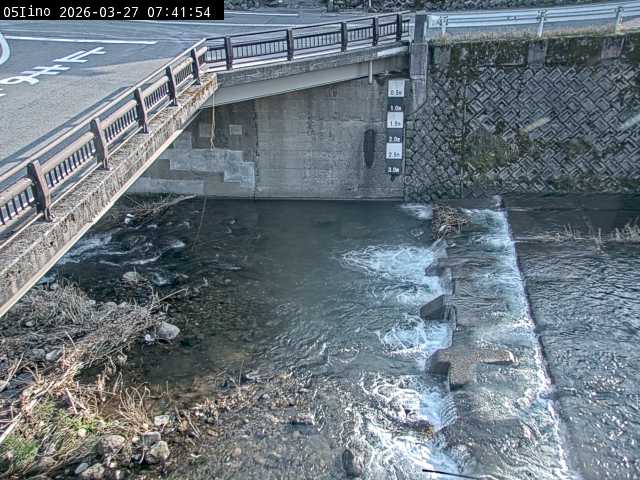 最新監視カメラ画像