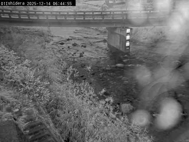 最新監視カメラ画像