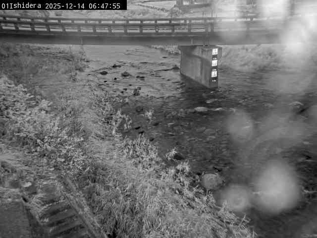 最新監視カメラ画像