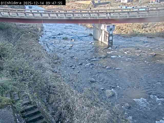 最新監視カメラ画像