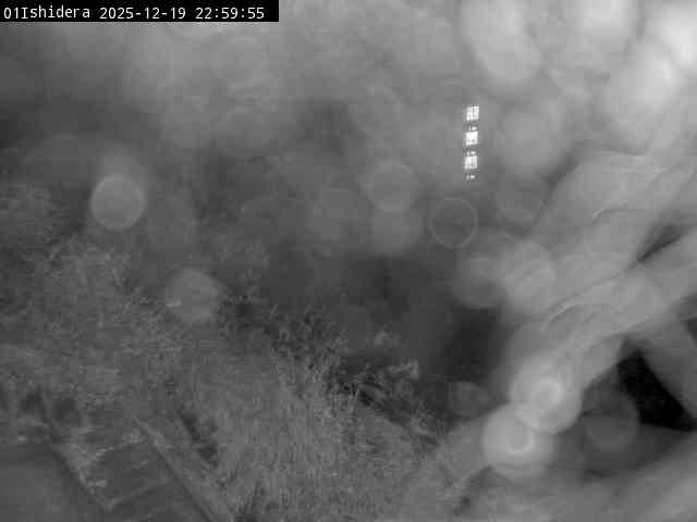 最新監視カメラ画像