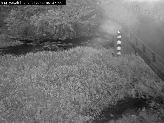 最新監視カメラ画像