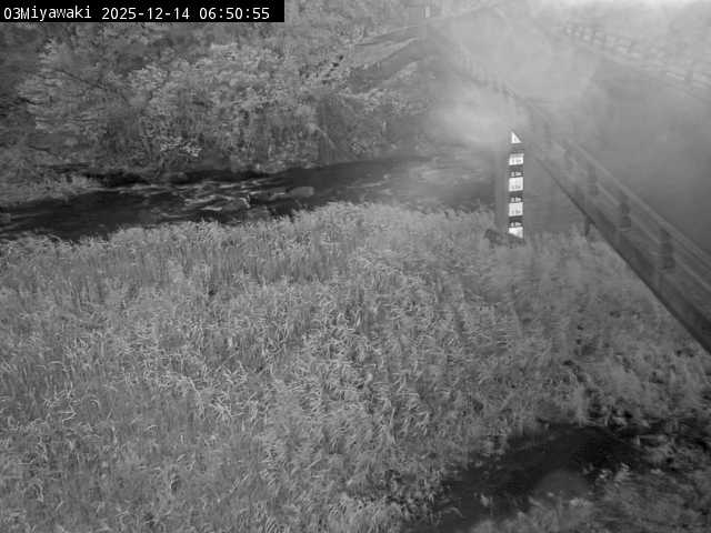 最新監視カメラ画像