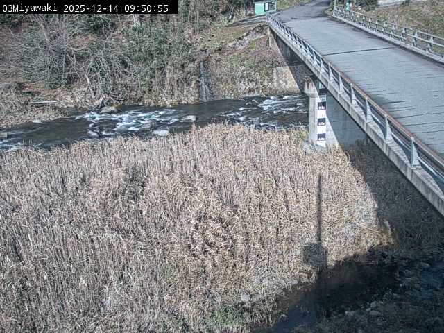 最新監視カメラ画像