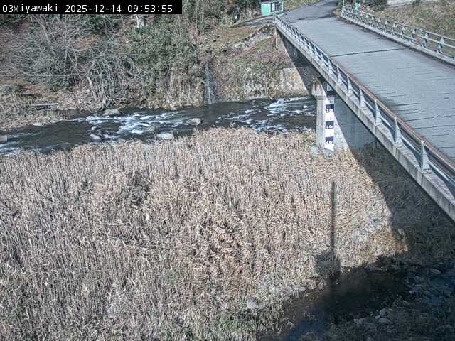 最新監視カメラ画像