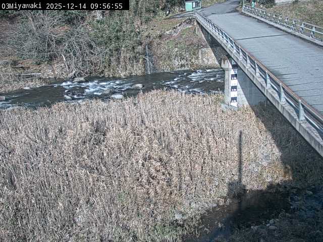 最新監視カメラ画像