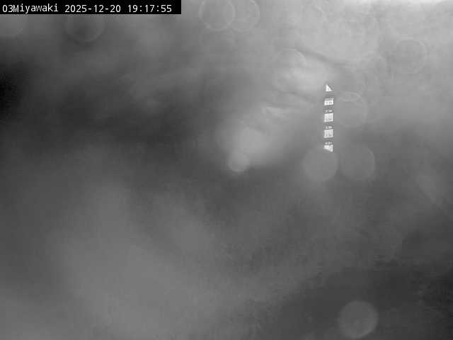 最新監視カメラ画像