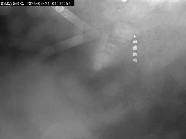 最新監視カメラ画像