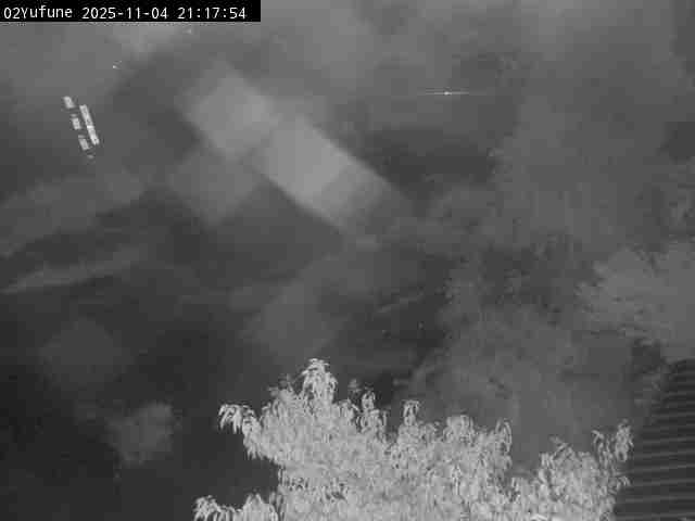 最新監視カメラ画像