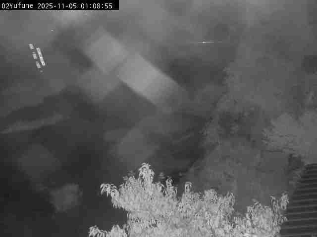 最新監視カメラ画像