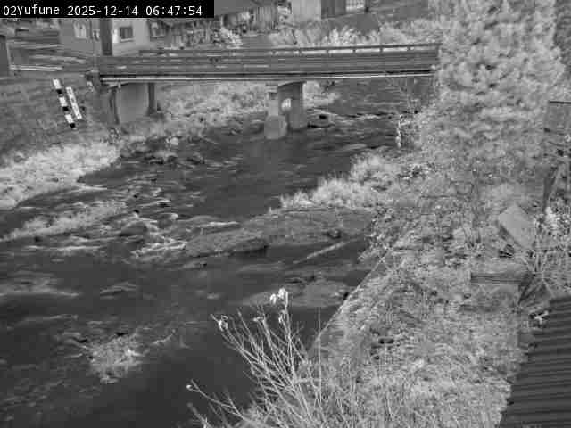 最新監視カメラ画像