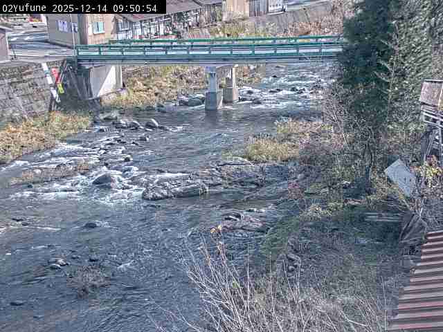 最新監視カメラ画像