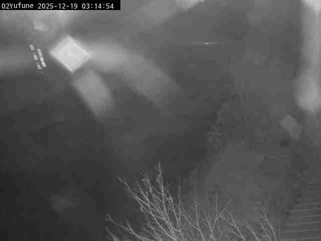 最新監視カメラ画像