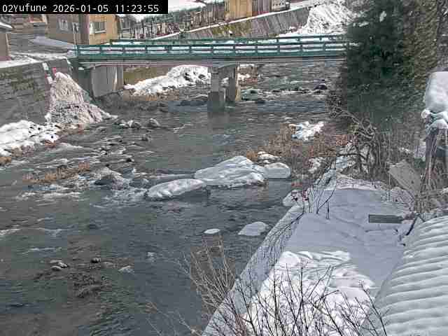 最新監視カメラ画像