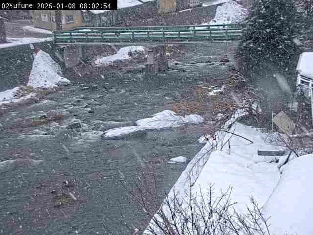 最新監視カメラ画像