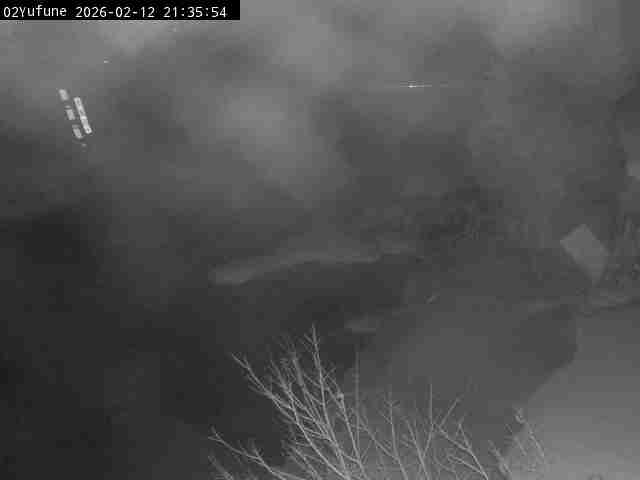 最新監視カメラ画像