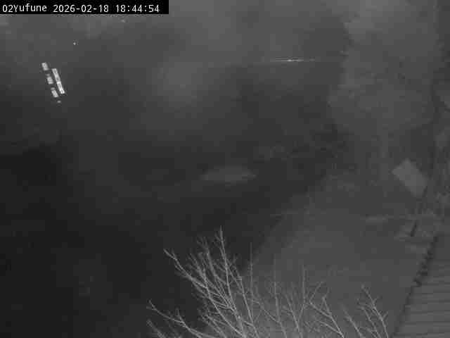 最新監視カメラ画像